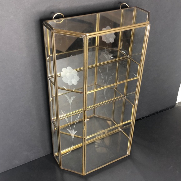 Vintage Etched glass brass curio case